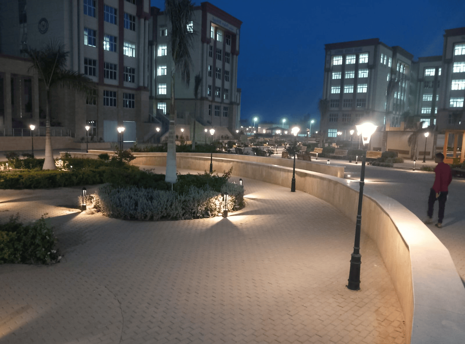project-landscaped-areas-site-lighting